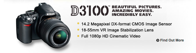 Nikon D3100